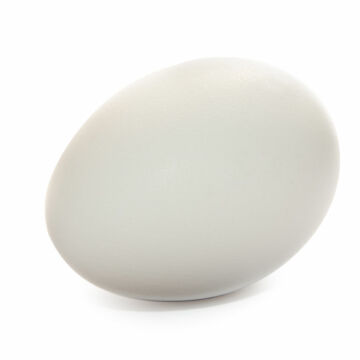 egg Kortreiste egg fra Ringsakerhøner